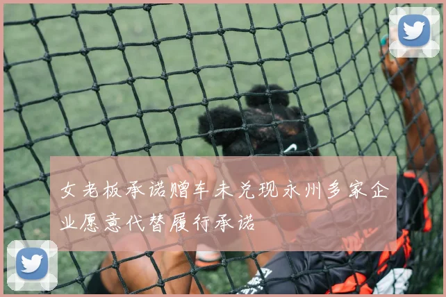 女老板承诺赠车未兑现永州多家企业愿意代替履行承诺