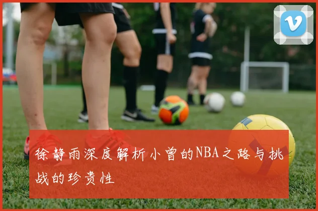 徐静雨深度解析小曾的NBA之路与挑战的珍贵性