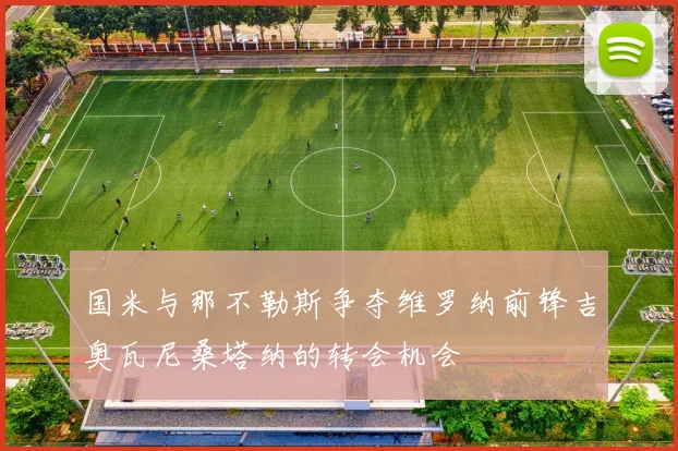 国米与那不勒斯争夺维罗纳前锋吉奥瓦尼桑塔纳的转会机会