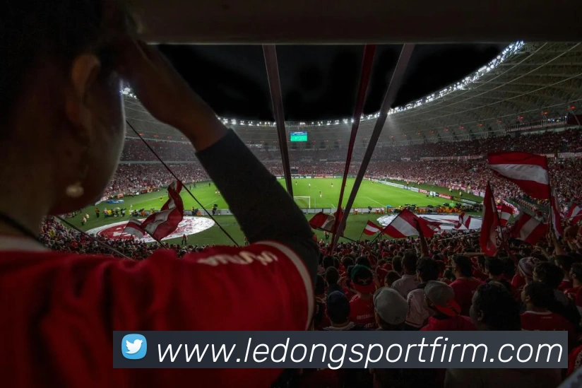 乐动体育平台生态图